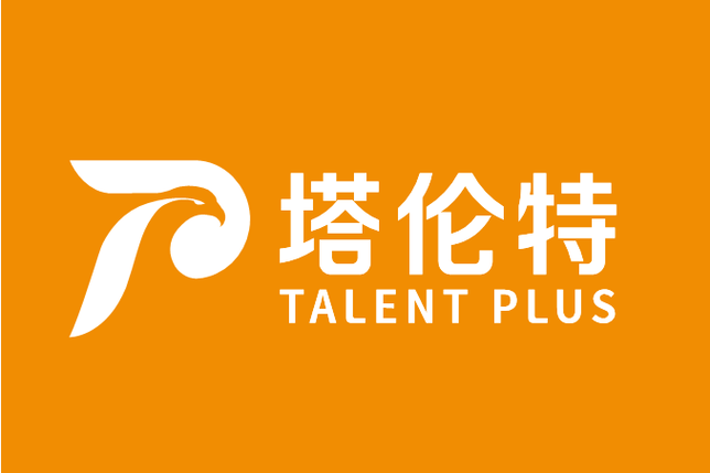 广东塔伦特咨询 深耕信息技术咨询，赋能企业数字化转型